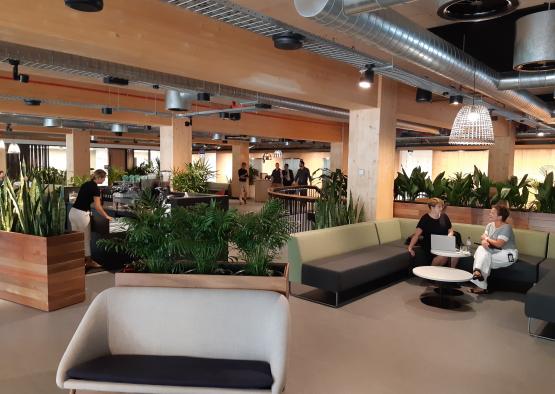 people sitting in a room with plants and tables