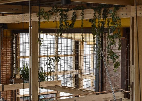 a wooden structure with plants from the ceiling