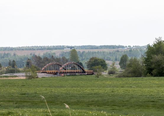 a bridge over a field