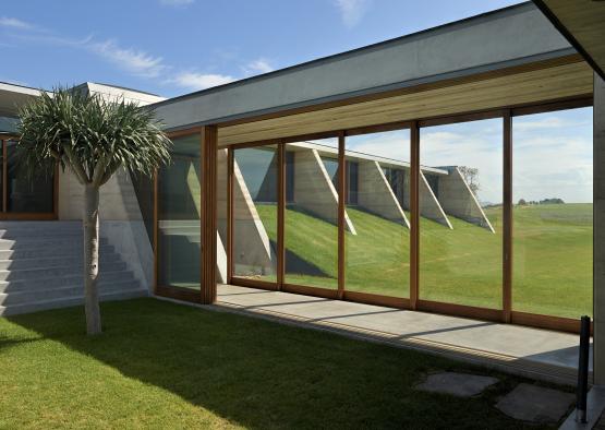 a glass wall of a building with a palm tree and grass