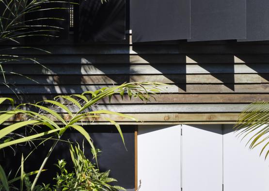 a green plant next to a building