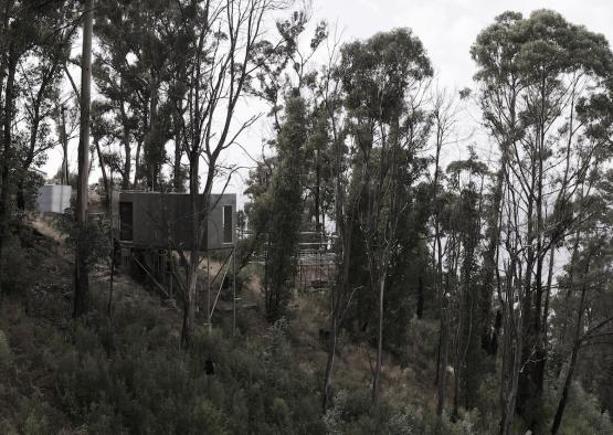 a tree house on a hill