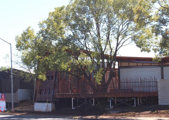 a tree next to a building