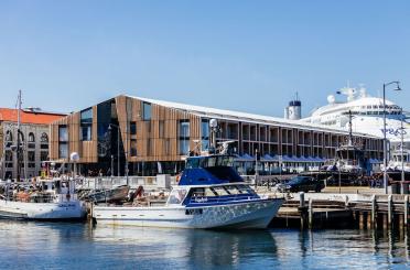 boats in a harbor with a building and boats