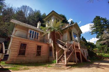 a house with a tree in the front